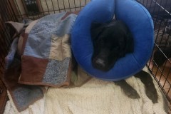 resting after surgery