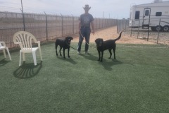 Bill and Shale/Shadow in dog park
