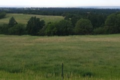 BEAUTIFUL MILES OF LAND