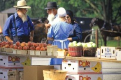 AMISH MARKET