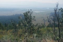 Beautiful views