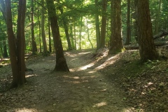 BEAUTIFUL TRAIL