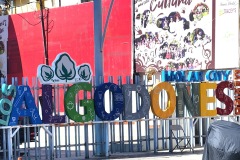 Molar city-Los Algodones
