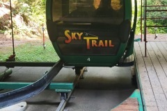 Gondola Rail to top of Redwoods