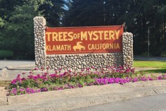 Trees of Mystery