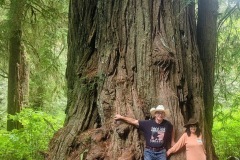 Our favorite tree