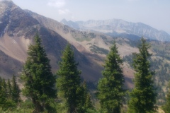 BEAUTIFUL!