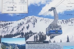 TRAM INFO