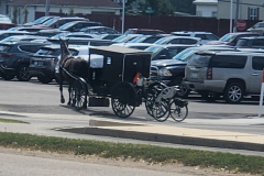 SHIPSHEWANA, INDIANA