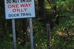 Duck sign