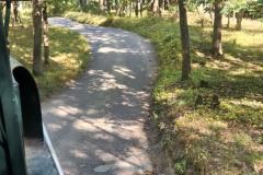 Duck Path