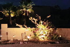 front yard evening lights