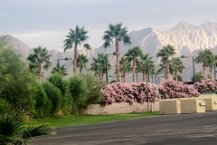VIEW CLOSE TO OUR RV
